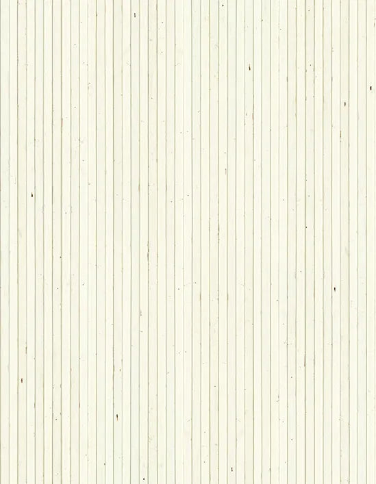 TIMBER STRIPS WALLPAPER by PIET HEIN EEK / TIM-07