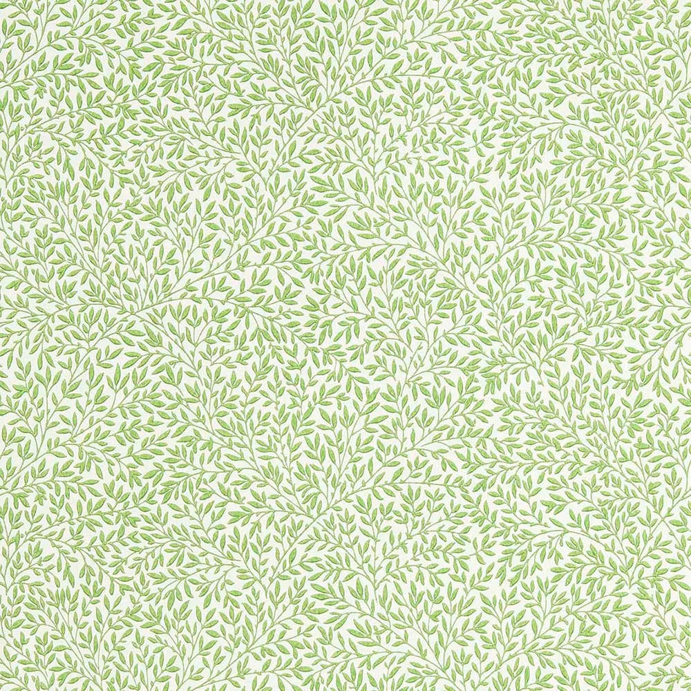 れるかる Standen 217066 / MORRIS & Co. ウィリアム・モリス – WALLPAPER