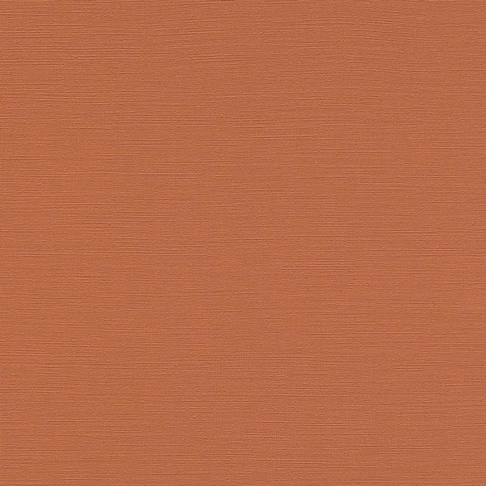 rasch ラッシュ / 687569 (Tropical House)