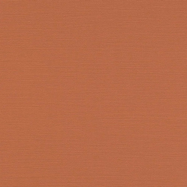 rasch ラッシュ / 687569 (Tropical House)