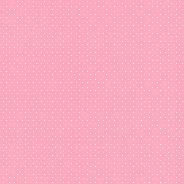 442304 / rasch ラッシュ